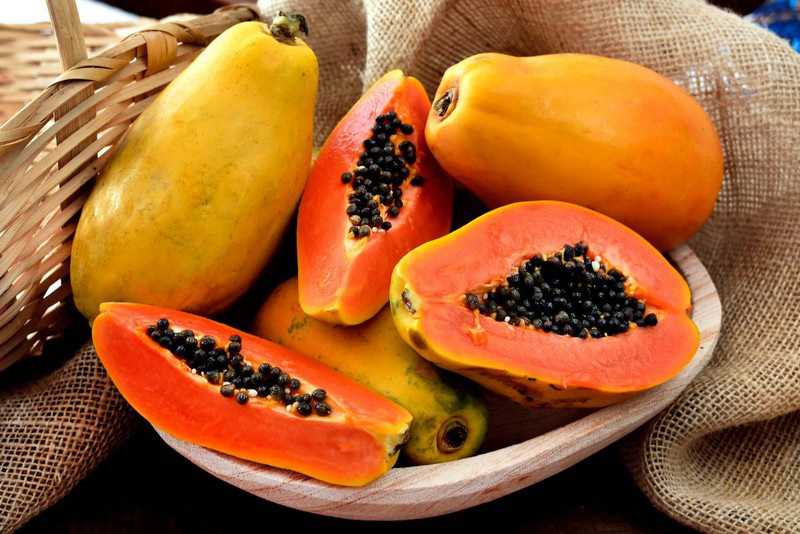 Mơ thấy trái đu đủ đánh số gì?